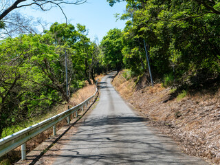 Fototapeta premium 新緑に覆われた峠道の風景