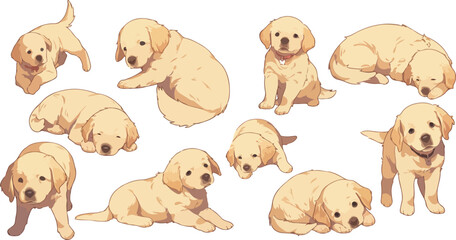 abrador retriever clipart vector for graphic resources