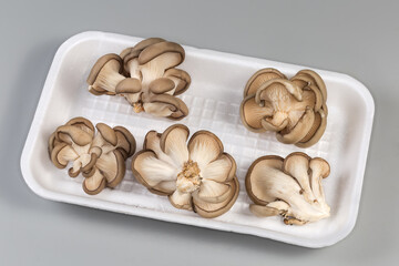 Several small bunches of raw oyster mushrooms foam food tray