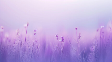 A soothing blend of lavender and periwinkle hues creating a dreamy, tranquil atmosphere