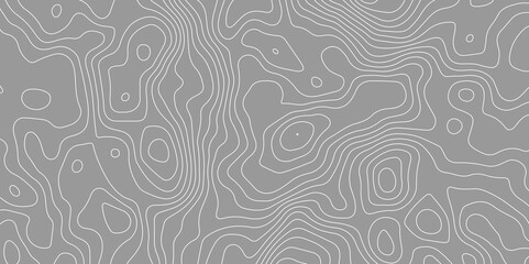 Gray topology topography vector abstract digital art background for desktop