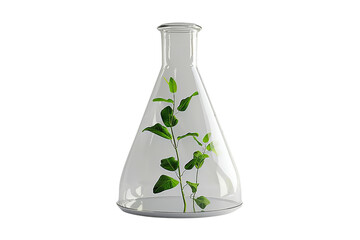 A plant is in a glass container. The container is shaped like a cone. The plant is green and he is healthy