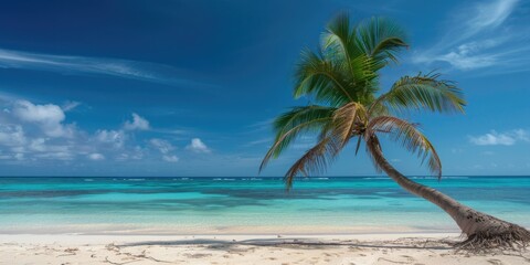 Palm Tree Beach. Tropical Paradise with Stunning Coral Background