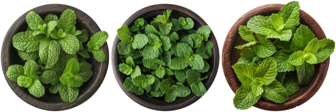 set of mint and lemon balm in brown wooden bowl, cut out