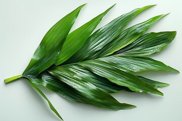 A succulent palm leaf, vibrant and fresh, with a juicy appearance.