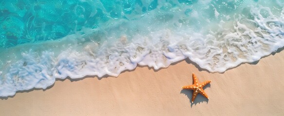 Naklejka premium A starfish rests on the sandy beach by the clear sea water. It's a sunny summer day, perfect for relaxing on the beach with plenty of space to enjoy.