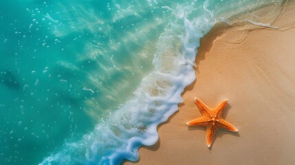 
A starfish rests on the sandy beach by the clear sea water. It's a sunny summer day, perfect for relaxing on the beach with plenty of space to enjoy.