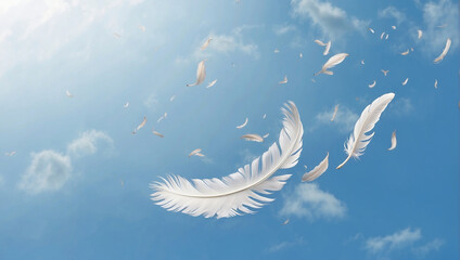 White Bird Feathers Falling in The Sky