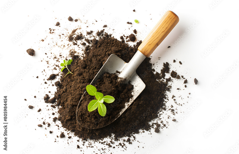 Wall mural Top view - gardening shovel on round pile of organic topsoil isolated on a white background. Young shoots grow.. Spacy text.