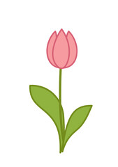 Pink tulip. Spring flower with leaves. Cartoon, vector