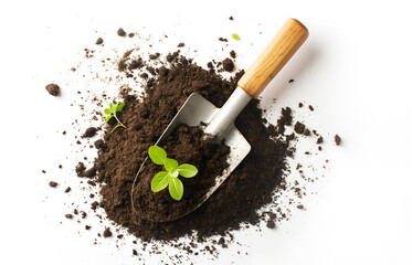 Top view - gardening shovel on round pile of organic topsoil isolated on a white background. Young shoots grow.. Spacy text.