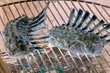 racks of lamb on grill, nacka,stockholm,sverige,sweden,Mats