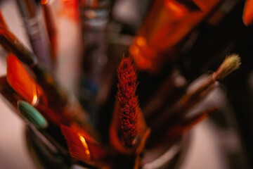 close up of a brush. details of artistic paintbrushes, macro. Artistry, painting, macro...