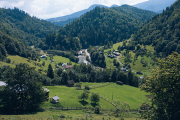Mysticism and mystery of the Ukrainian Carpathian forest