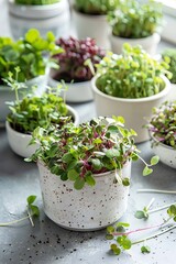 Fresh microgreens on a plate, healthy eating concept, Generative AI,