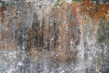 Old mossy wall texture for grunge background