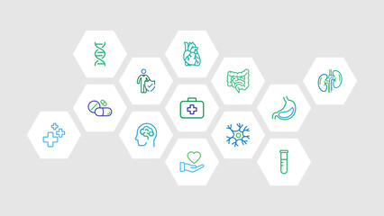 Medical Healthcare Icons in Hexagon with dual colors background. DNA, medicine, hospital,brain, stomach, kidney, tube, heart, first aid icons