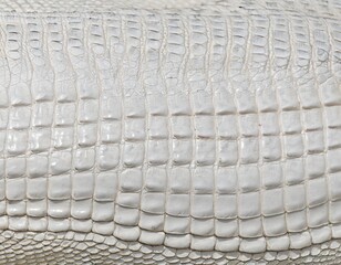 Fototapeta premium white crocodile scales skin texture