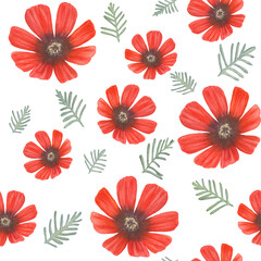 Adonis red flowers, fern leaves watercolor seamless pattern isolated on white. Spring romantic floral background. Blooming flowers summer meadow botanical illustration - obrazy, fototapety, plakaty