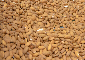 A large plate of peanuts. The peanut background has different textures. Peanuts of different sizes are used in food.