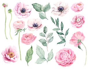 Watercolor Illustration Elements: ranunculus, anemone and leaves