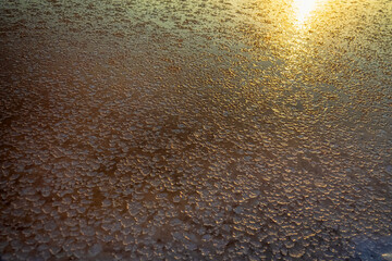 Evening coolness and as if formation of ice. But it's not ice. Salt crust forms in calm on surface...