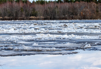 A landscape of an ice drift (ice-boom, debacle) on the northern river, flood plain forest. Rivers...
