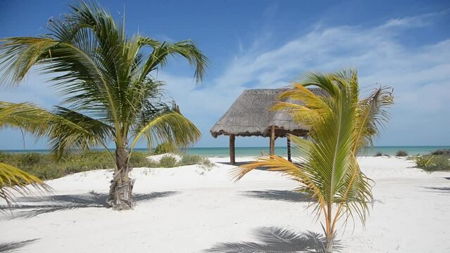 HD video of a tropical thatched hut on the beach with palm trees, white sand, and blue sky. In the background a tourist walks relaxing by the sea.