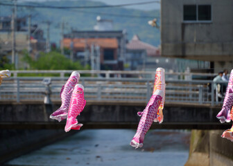 風に泳ぐ鯉のぼり