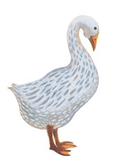 gentle watercolor goose on a white background