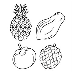 Cartoon Exotic Tropical Fruit Line Art