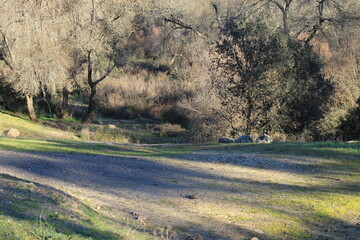 Parque Natural de Sierra Morena - Año 2015 - 23