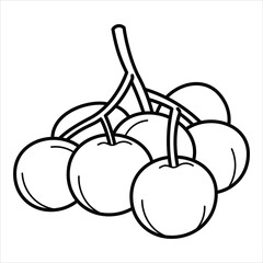 Cartoon Exotic Tropical Fruit Line Art