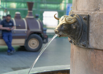 Toro en fuente, Teruel
