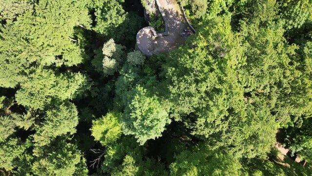 Flight with top down view of ruins of Leienfels Castle and tree panorama near Pottenstein (Franconian Switzerland), Germany