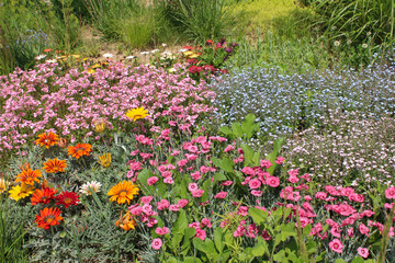 flower garden background wallpaper blooming field