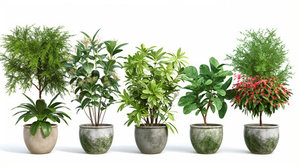 Set of green house plants, flowers and trees in pots for decoration.