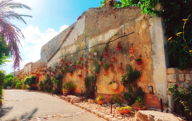 Aged Wall With Hanging Terra Cotta Pots Sunny Day