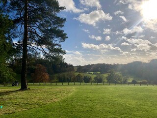 landscape with trees