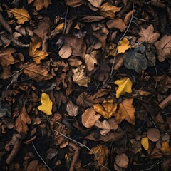 Fototapeta premium An overhead shot of a densely packed forest floor covered in autumn leaves, highlighting the textures of decay and renewal.