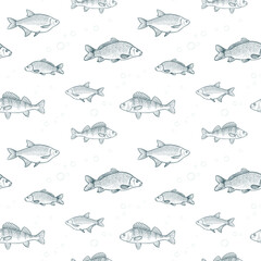 Seamless pattern with fishes. Vector illustration of carp, bream and perch.