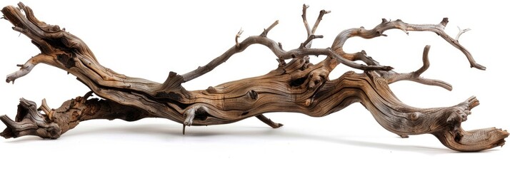 Fototapeta premium Isolated Driftwood Branch on White Background. Aged and Weathered Driftwood Trunk 