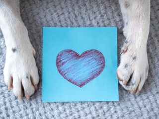Beautiful drawing of a heart and dog paws. View from above. Close-up, indoors. Congratulations for family, loved ones, friends and colleagues. Pet care concept