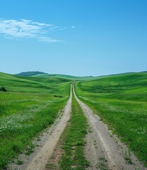 Obraz premium Country road through a lush green field