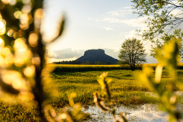 Sonnenuntergang am Lilienstein mit einem See Reflektion in der Sächsischen Schweiz Nationalpark in Sachsen Deutschland © Dominic Wunderlich