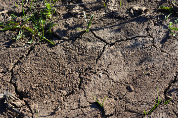 brown cracked surface with a crack and bunch of green grass 