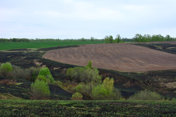 Naklejka premium a plowed field on the hill with burnt grass and green bushes around 
