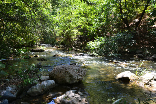 a stream with a large rocky stones in the middle of it  