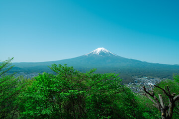 展望台から見る富士山