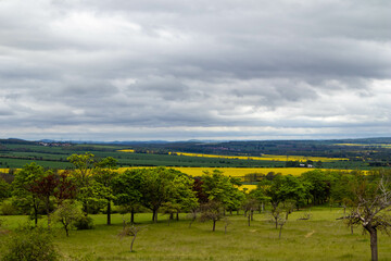 Fototapeta na wymiar Cloudy spring day with rapeseed field distant view 